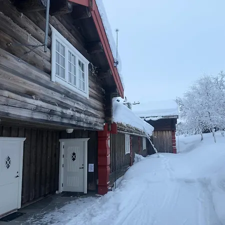 Bjorndalenhytta *