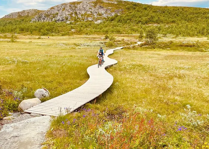 Dom wakacyjny Bjorndalenhytta