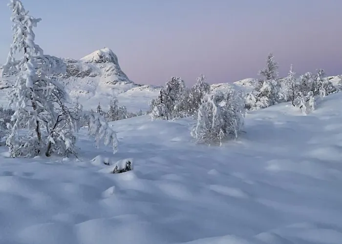 Bjorndalenhytta * Beitostolen