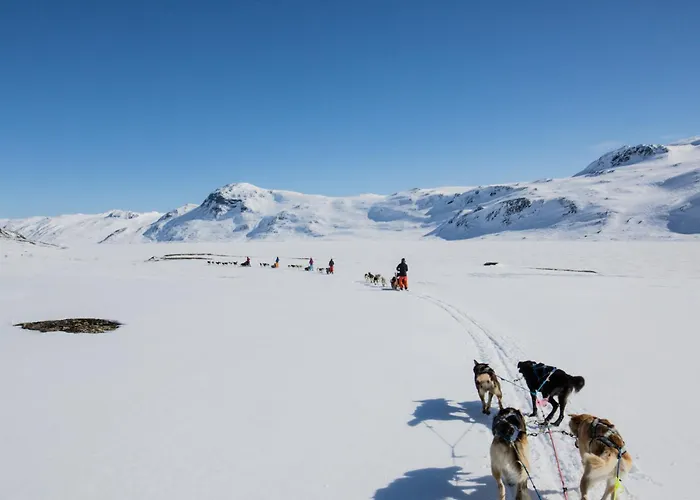 Dom wakacyjny Bjorndalenhytta Beitostolen