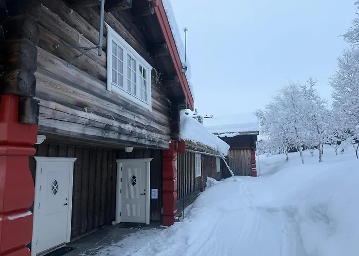 Bjørndalenhytta *