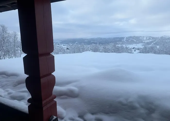 Feriehus Bjørndalenhytta